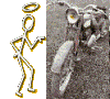 Avatar de l’utilisateur